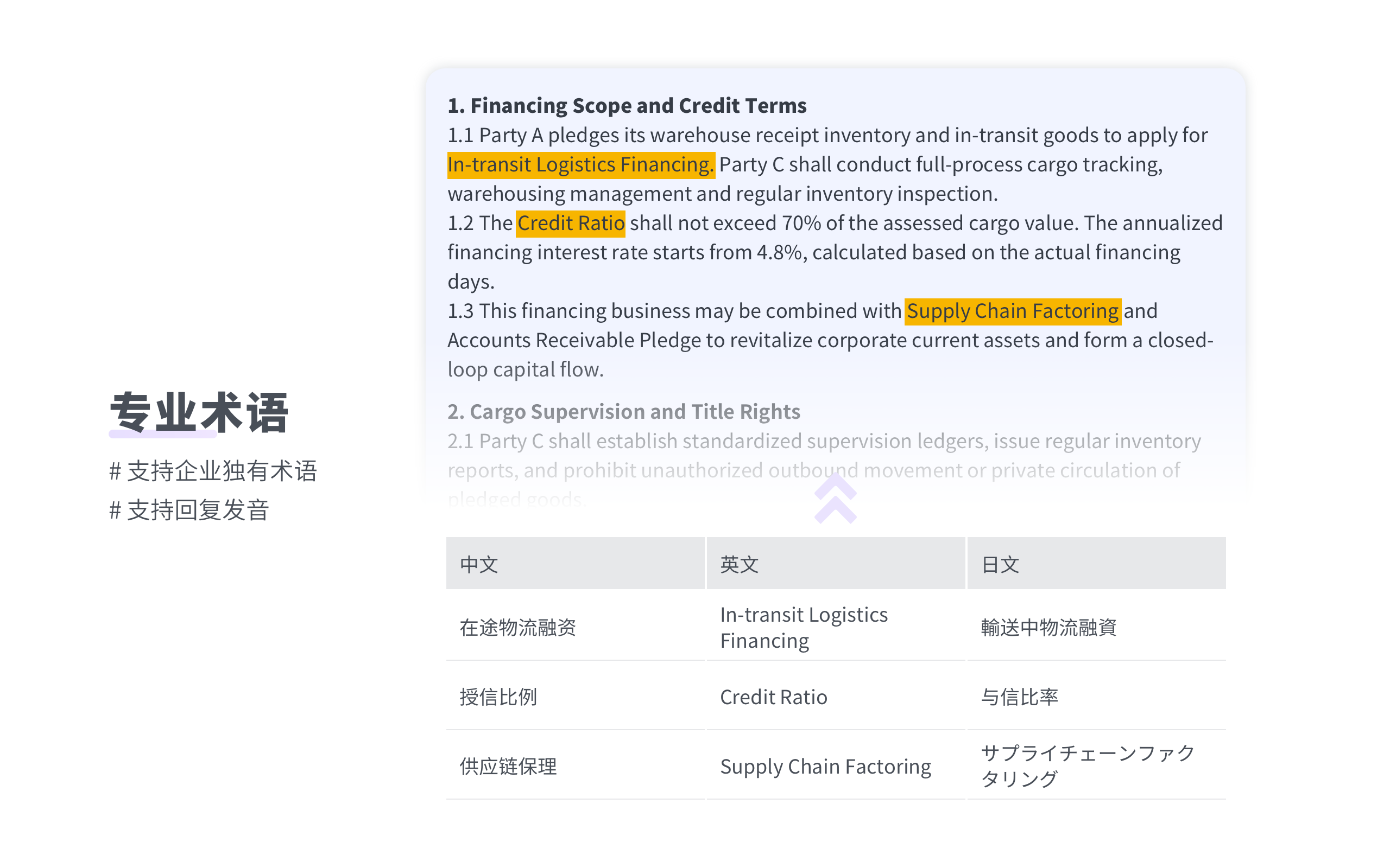 VokiAI AI Document Translation desktop client interface